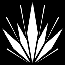 Nova Division